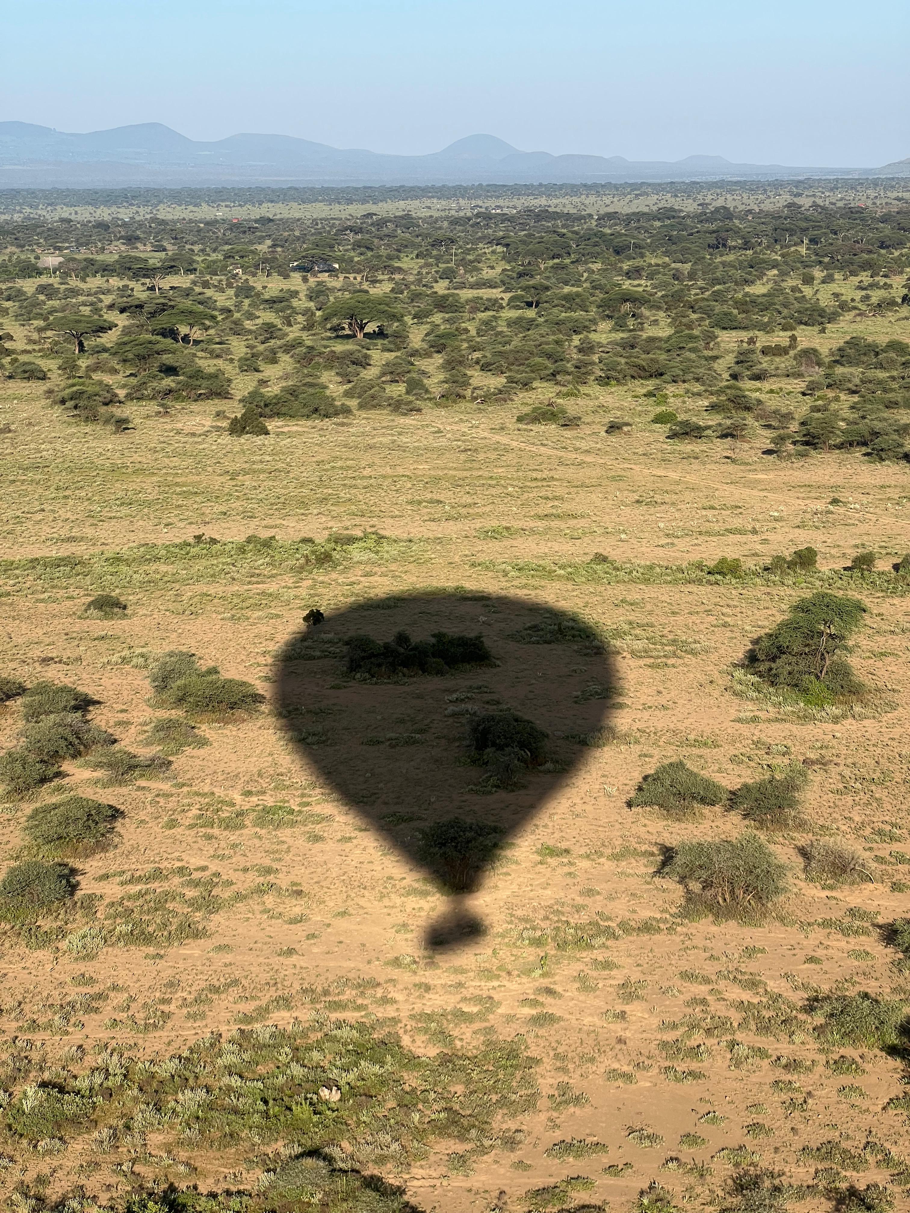 Hot air balloon shadow over the savanna