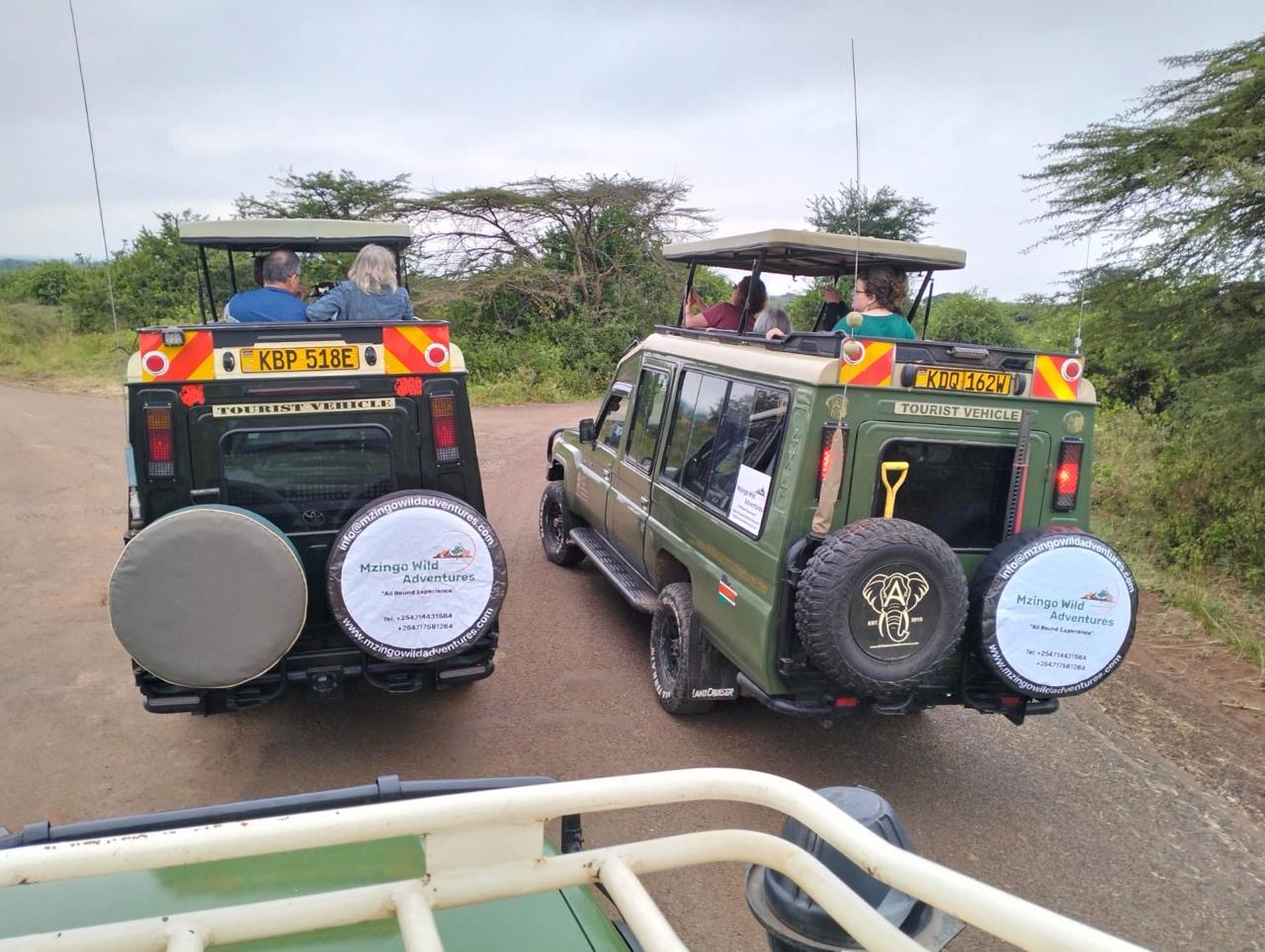 Two branded Mzingo safari vehicles meeting on the track
