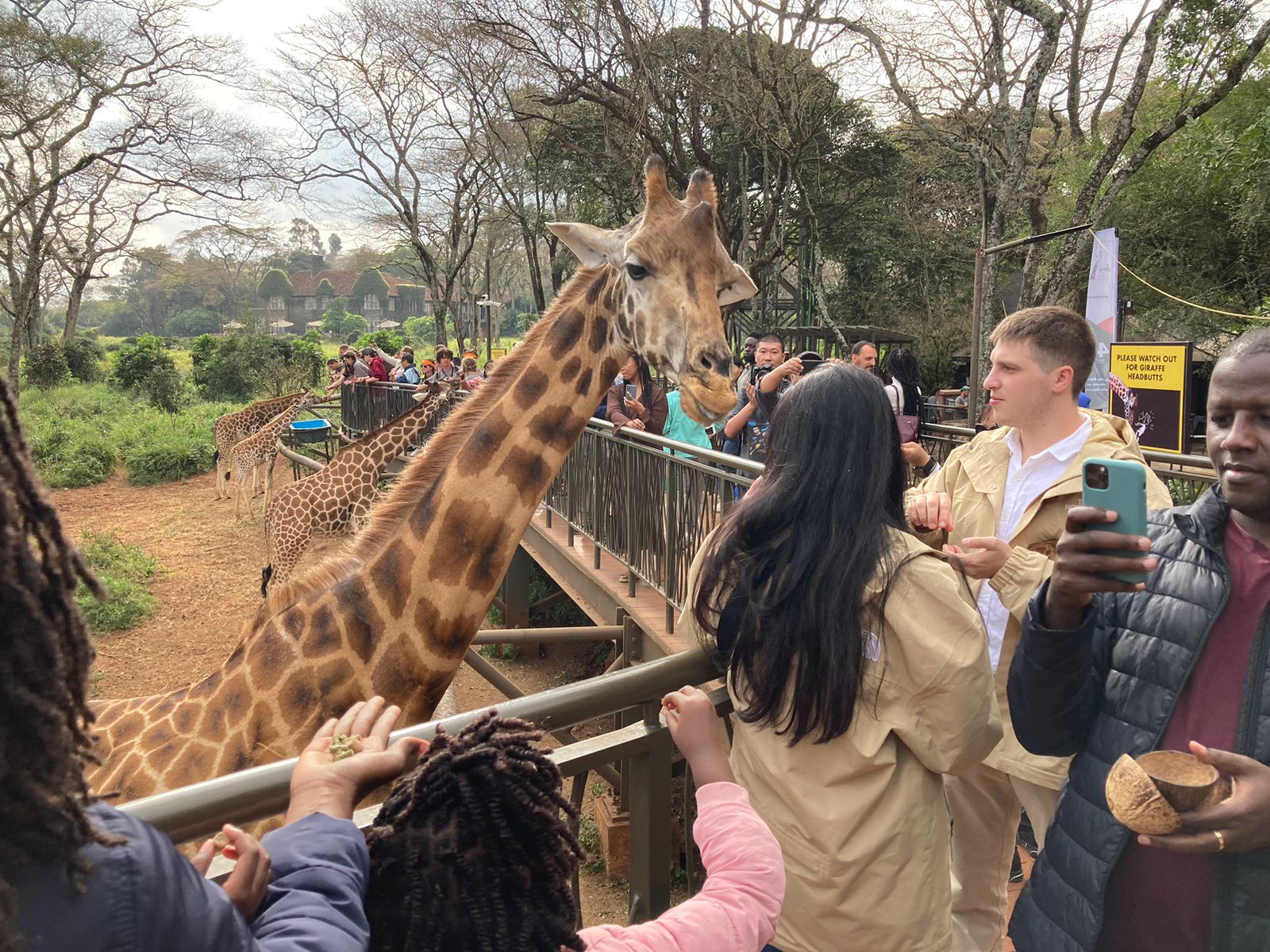 Guests feeding a giraffe at the Giraffe Centre in Nairobi