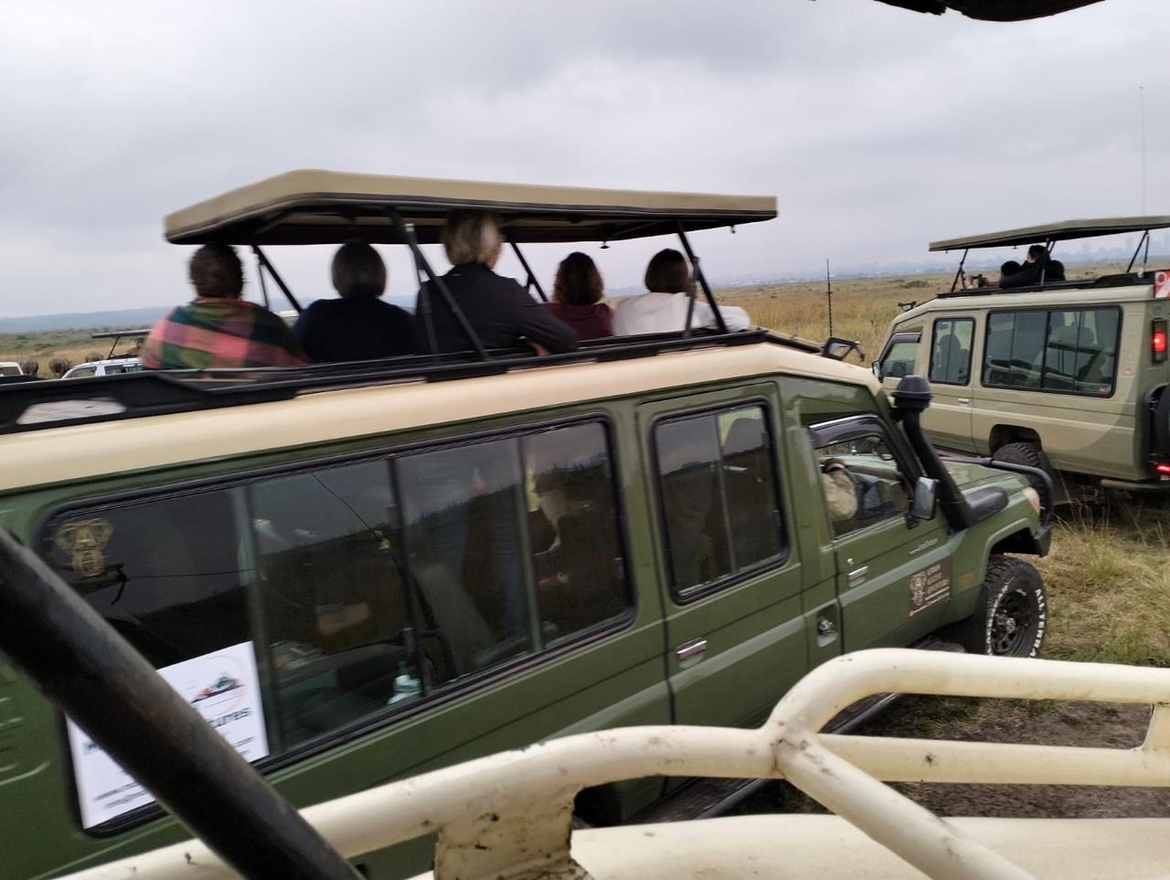 Guests watching a lion from their safari vehicle