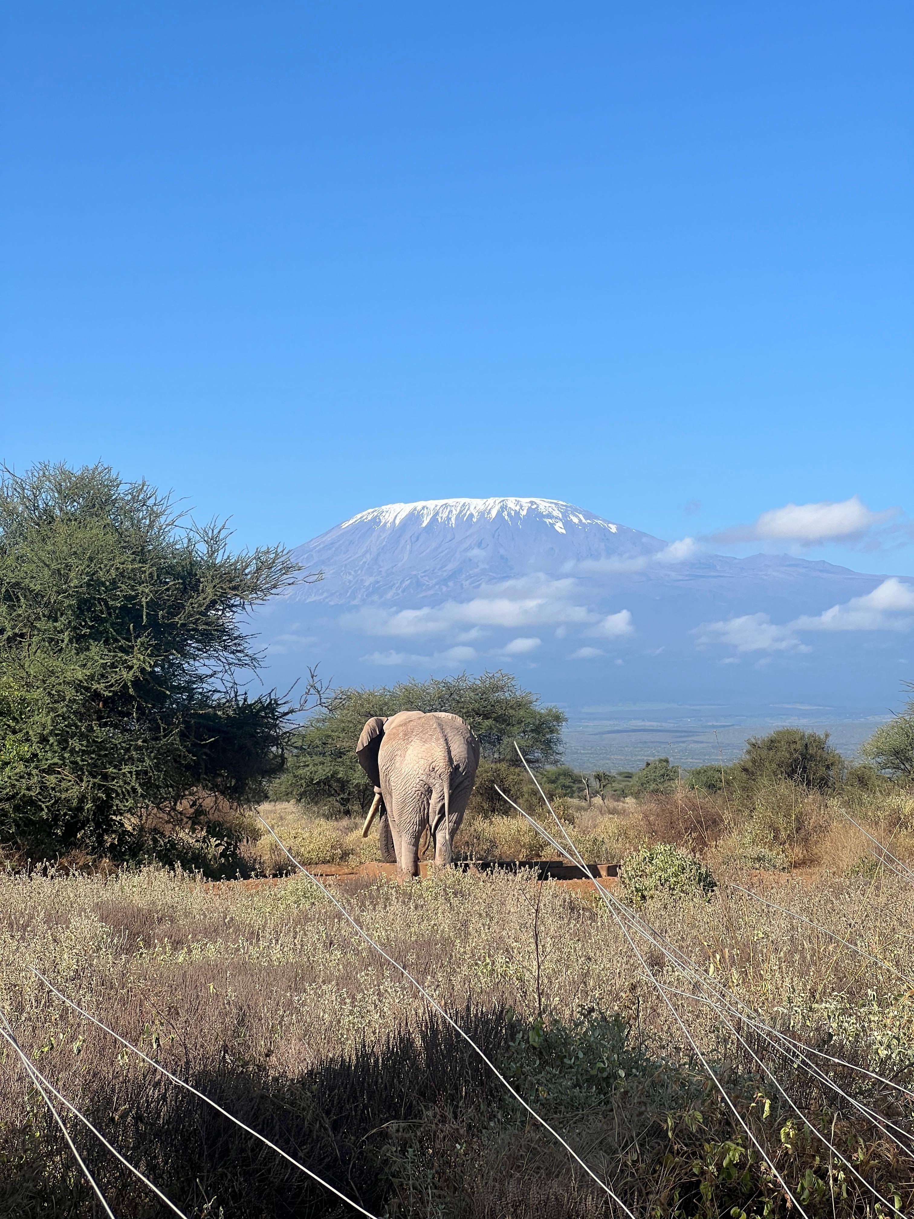 Savannah Elegance Escape — 7-Day Luxury Honeymoon Safari