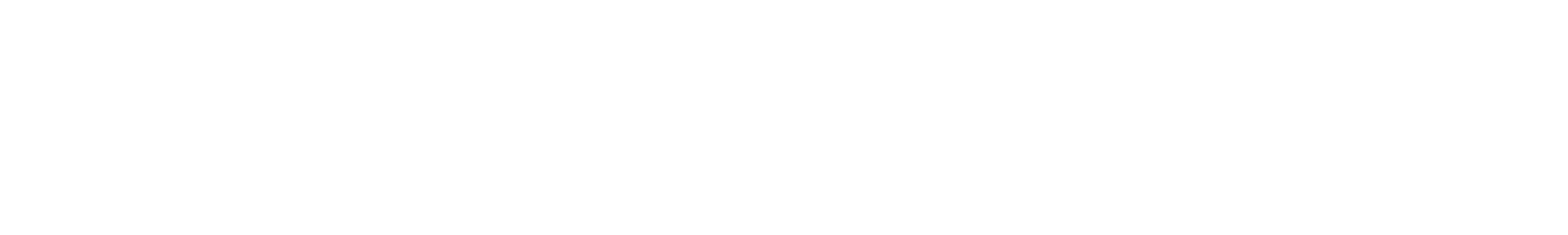 SafariBookings